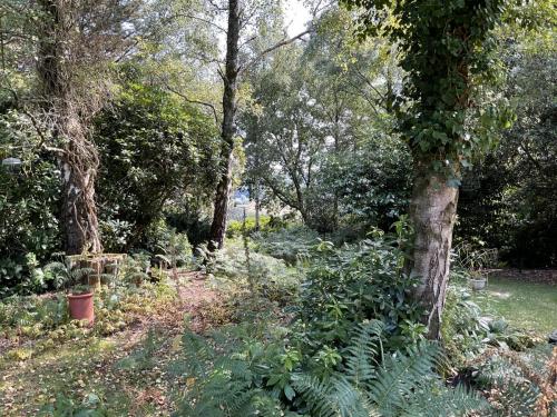 Part of the garden at Maranatha