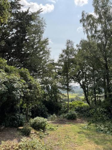 Part of the garden and view at Maranatha