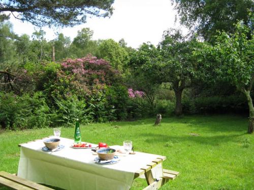 Maranatha-accommodation-dorset-orchard