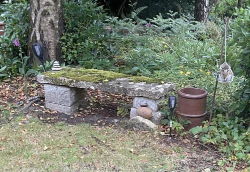 Maranatha-accommodation-dorset-squirrels